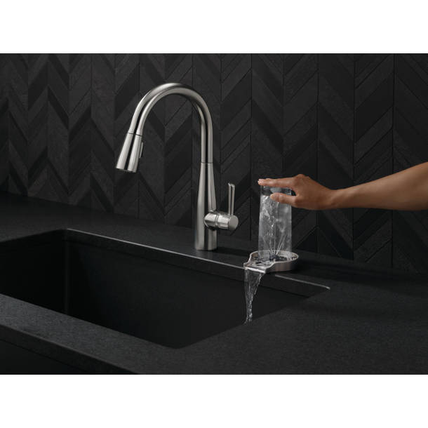 Delta Glass Rinser & Reviews Wayfair